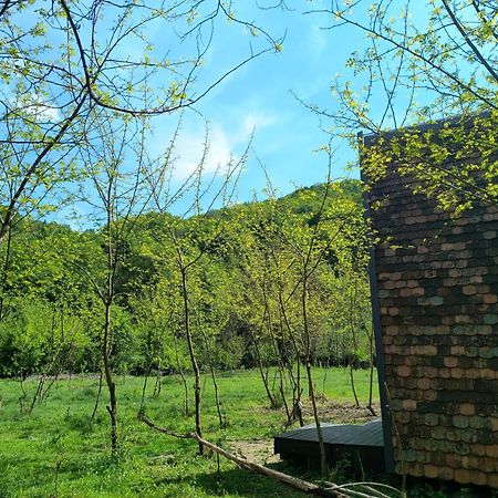 Hotel Retreat In Padure Buchin Zewnętrze zdjęcie