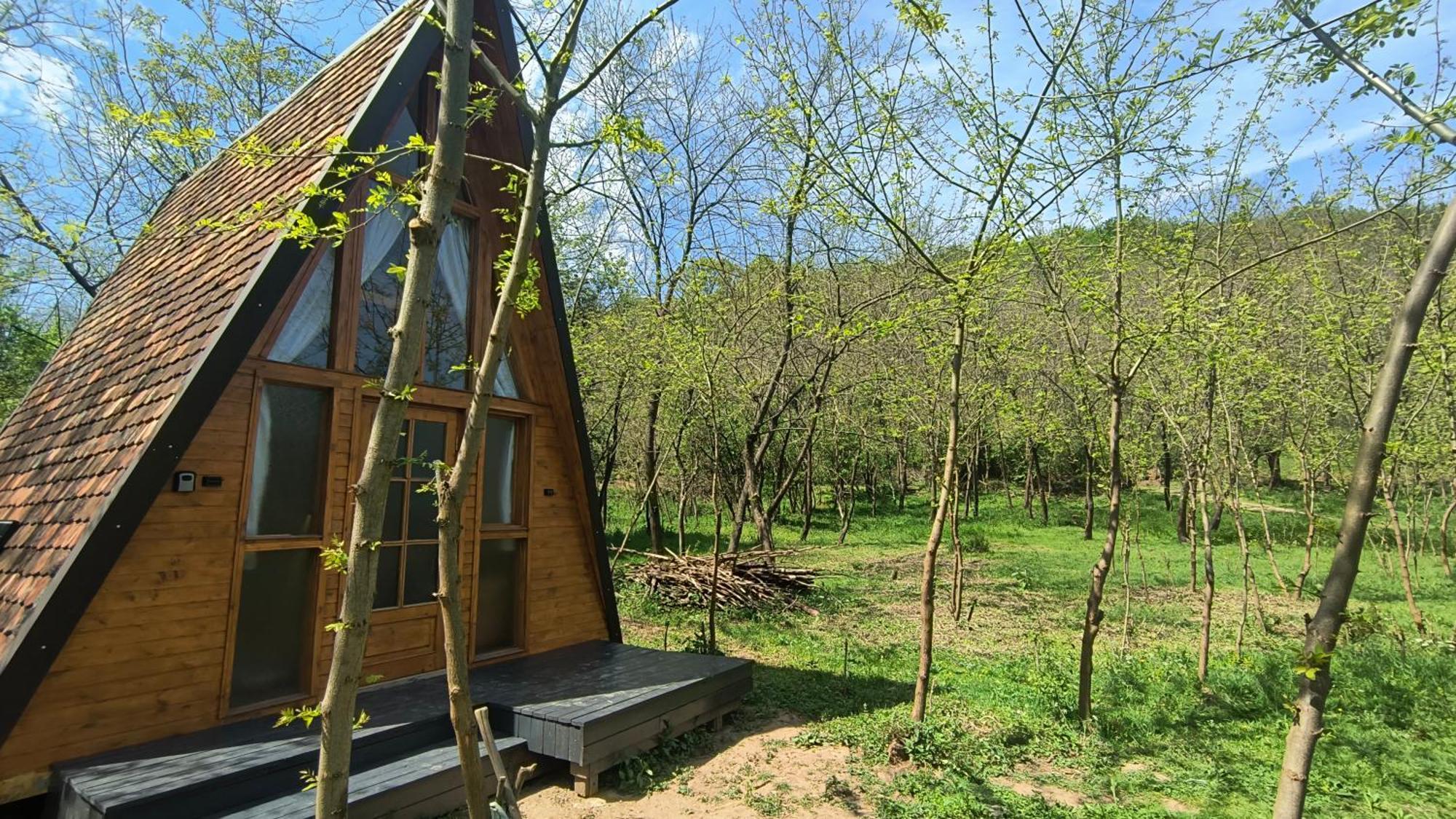 Hotel Retreat In Padure Buchin Zewnętrze zdjęcie